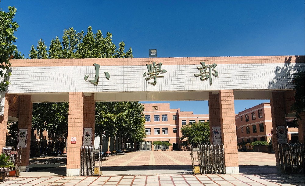 德州跃华学校小学部音体美课程公示